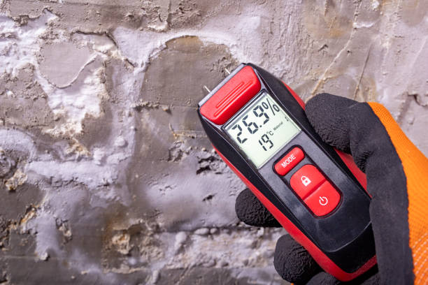 Best Mold Removal and Inspection  in Shady Cove, OR